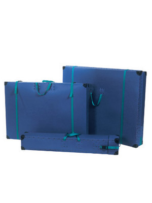 Panel Carry Cases